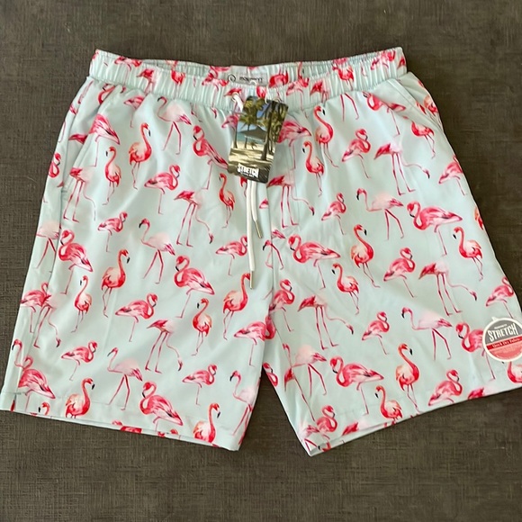 mosmann australia Other - NWT men’s swim trunks 🦩